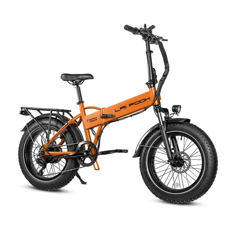 Fashion Electric Bike City Men Eu Long Range LAIFOOK Cheap Electric Bike 500w 48V Electric Bike