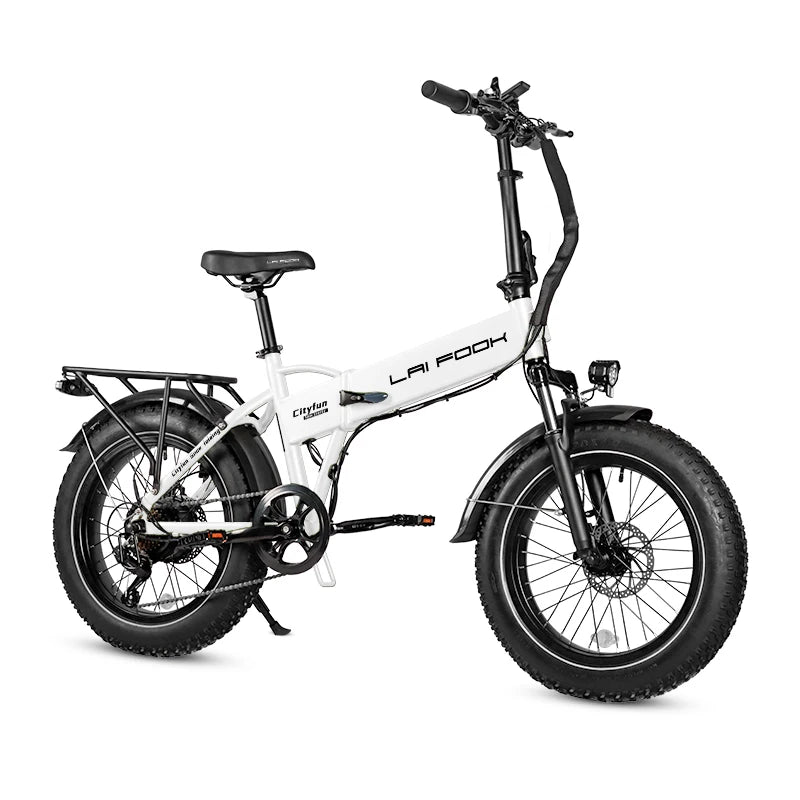 Fashion Electric Bike City Men Eu Long Range LAIFOOK Cheap Electric Bike 500w 48V Electric Bike