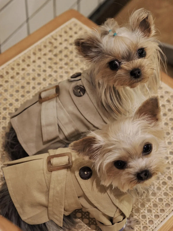 Pet Clothes British Style Cats and Dogs