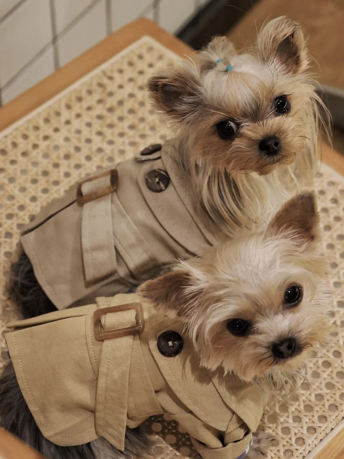Pet Clothes British Style Cats and Dogs