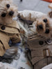 Pet Clothes Ins British Style Pet Cats and Dogs Clothes Fall and Winter Clothes Handsome Warm Windbreaker