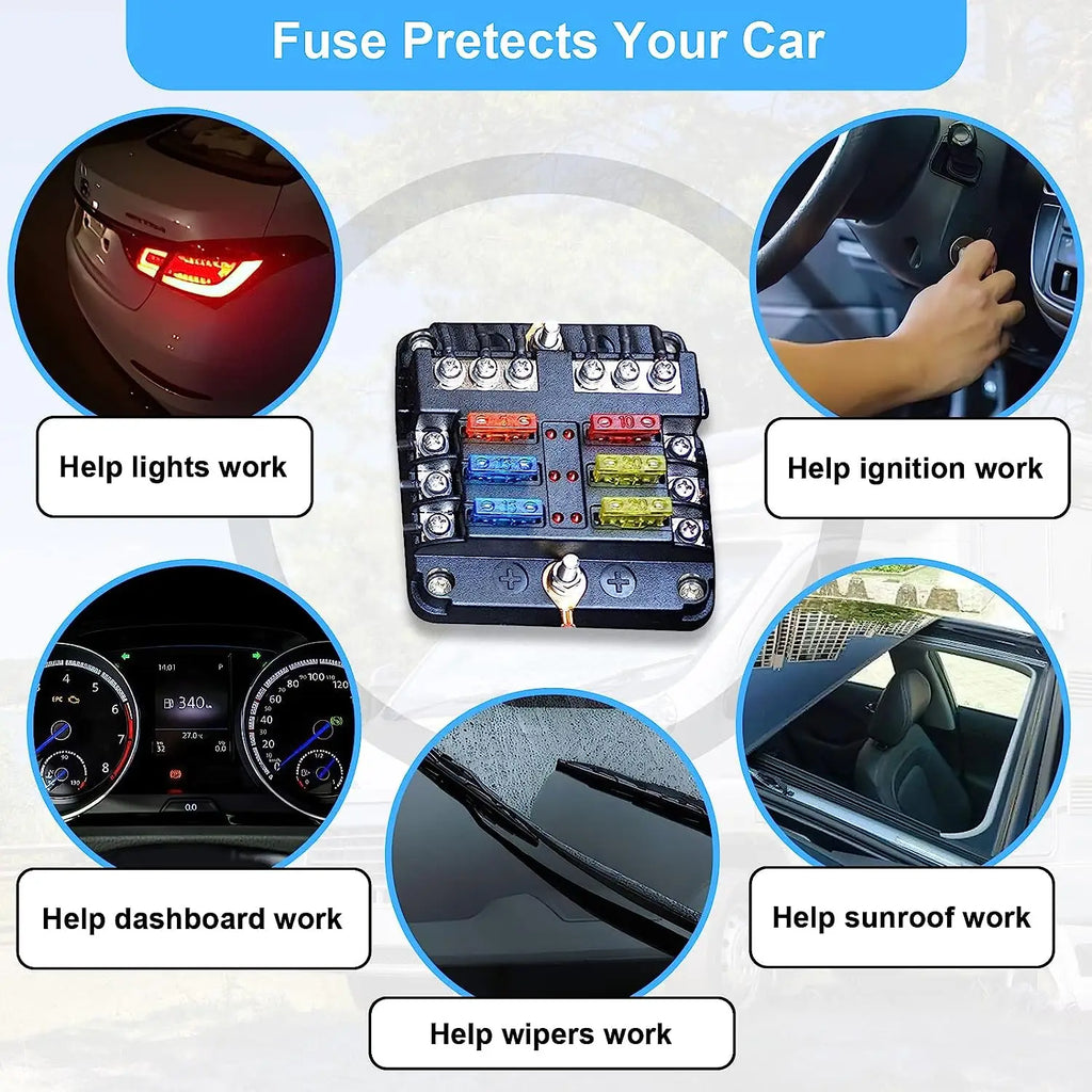 180 Piece Car Fuses Assorted Kit